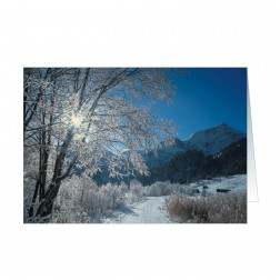 Winterland (5604)